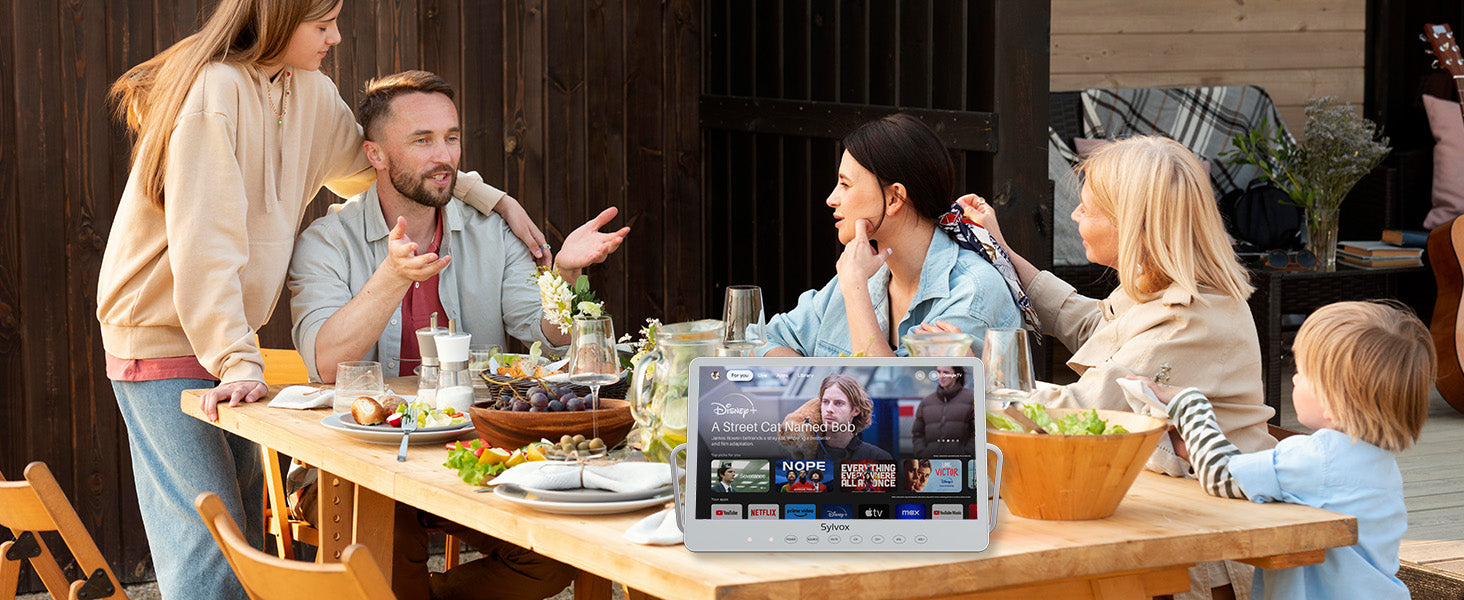 Portable TV
