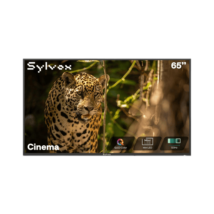 Sylvox Cinema 65" Helio QLED Outdoor TV – 2000 Nits, Cinematic Motion with 120Hz (2025 Model)