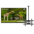 43" Frameless Pro Outdoor TV with Ceiling Mount
