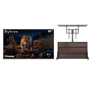 Outdoor Lift Cabinet+55'' Cinema