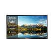 65" Outdoor TV(Google TV) - 2024 Pool Pro 2.0