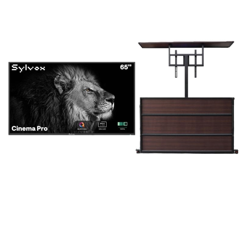 65" Cinema Pro Helio QLED Full Sun Outdoor TV with Cabinet
