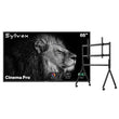65" Cinema Pro Helio QLED Full Sun Outdoor TV with Rolling TV Cart
