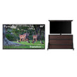 65" Frameless Pro Full Sun Outdoor TV with Cabinet