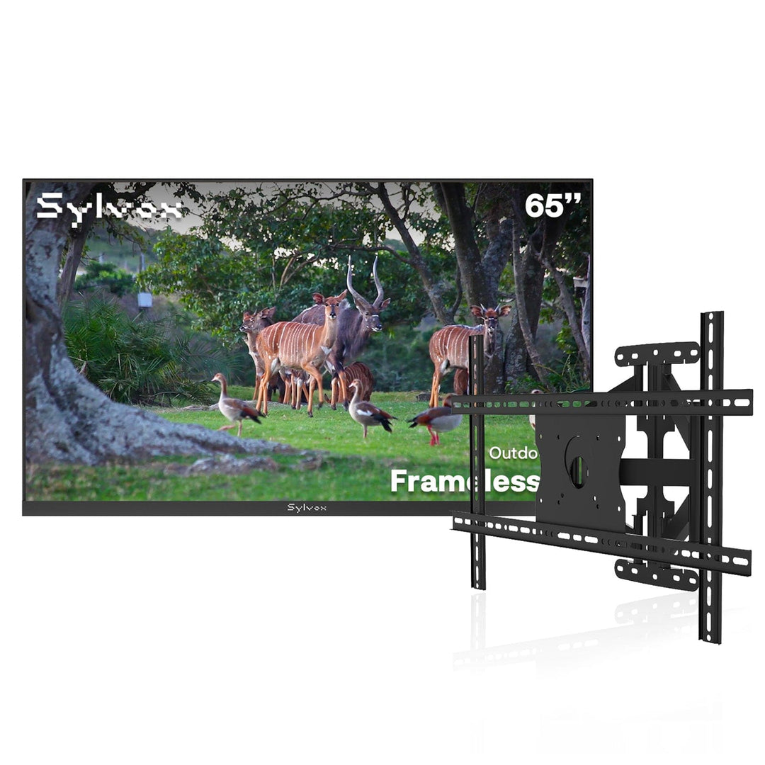 65" Frameless Pro Full Sun Outdoor TV with Outdoor TV Wall Mount