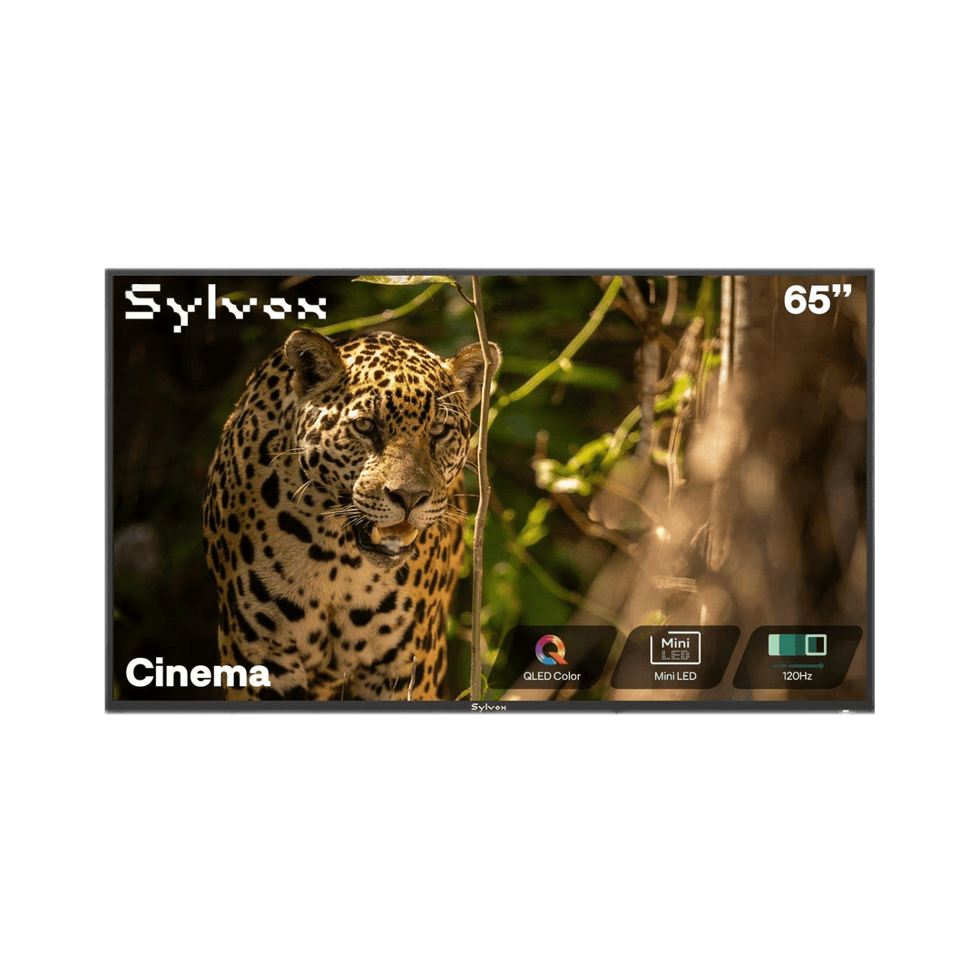 65" Full Sun Outdoor TV - 2025 Cinema Helio QLED
