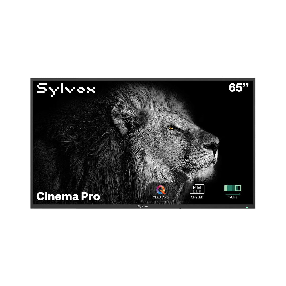 65" Full Sun Outdoor TV - 2025 Cinema Pro Helio QLED
