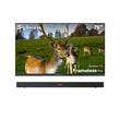 75" Frameless Pro Full Sun Outdoor TV with S2 Outdoor  Soundbar