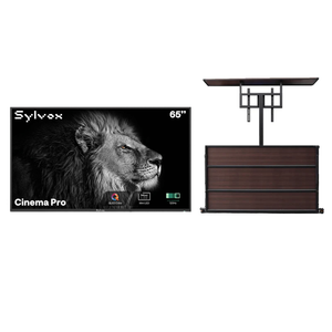 65" Lift Cabinet + Cinema Pro 65" (Full Sun)