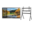75" Outdoor TV(Google TV) - 2024 Pool Pro 2.0