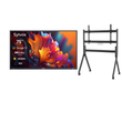 75" Premium QLED Google Outdoor TV - 2024 Pool Pro QLED 2.0